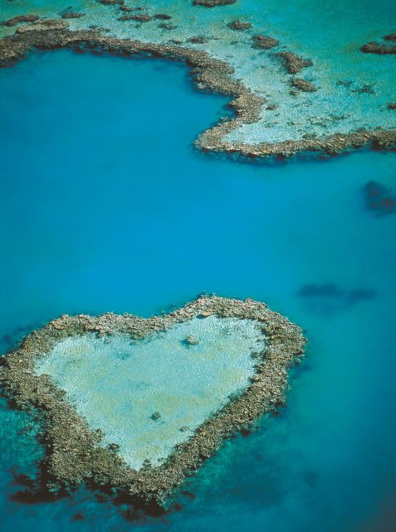 At Waterfront Whitsunday Retreat - Adults Only Aparthotel Airlie Beach Exterior foto